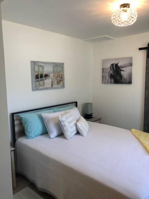 Moana Place Cozy and stylish cottage with pool in Saint Augustine
