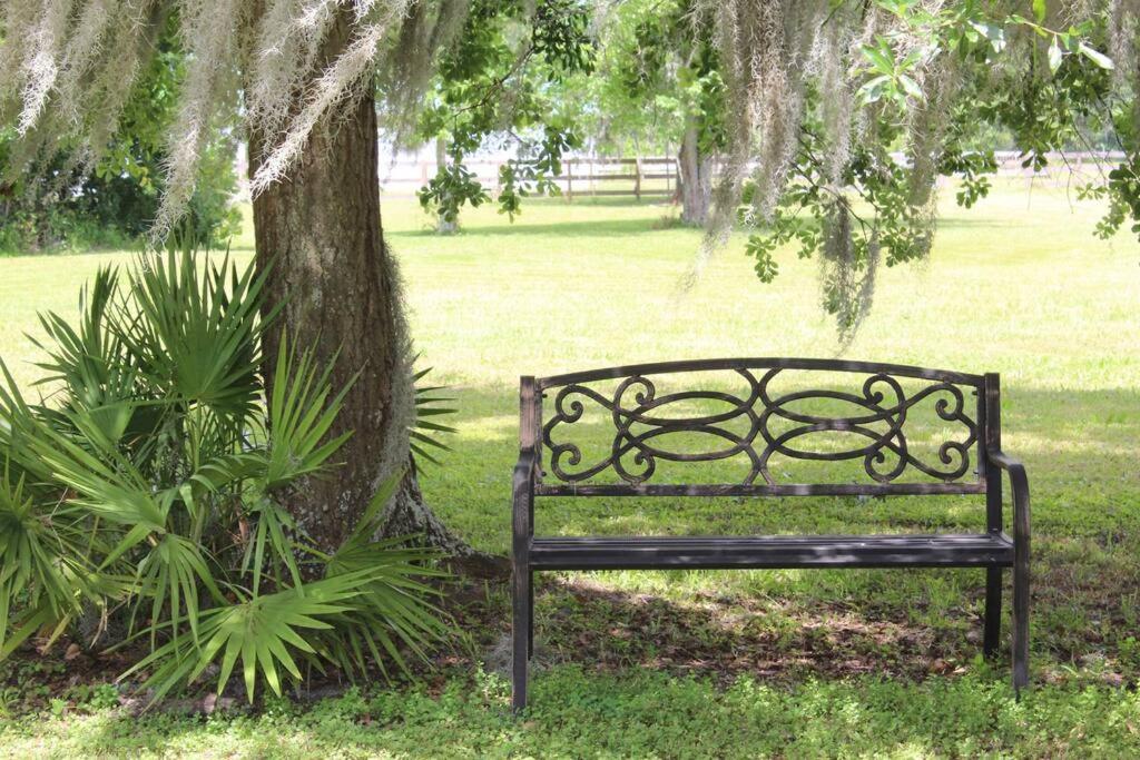 Moana Place Cozy and stylish cottage with pool in Saint Augustine