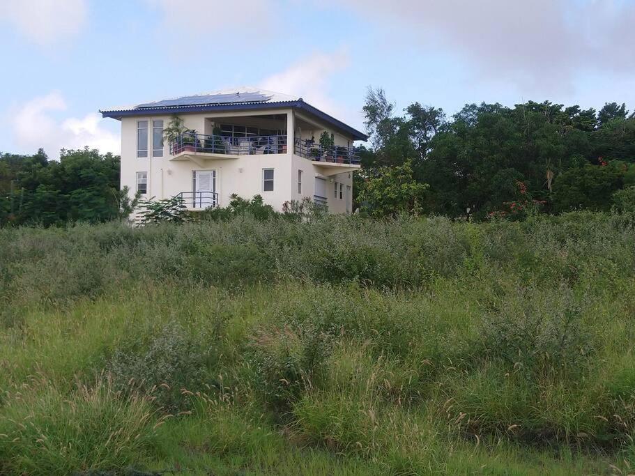 Villa mit Meerblick- curacao-dream