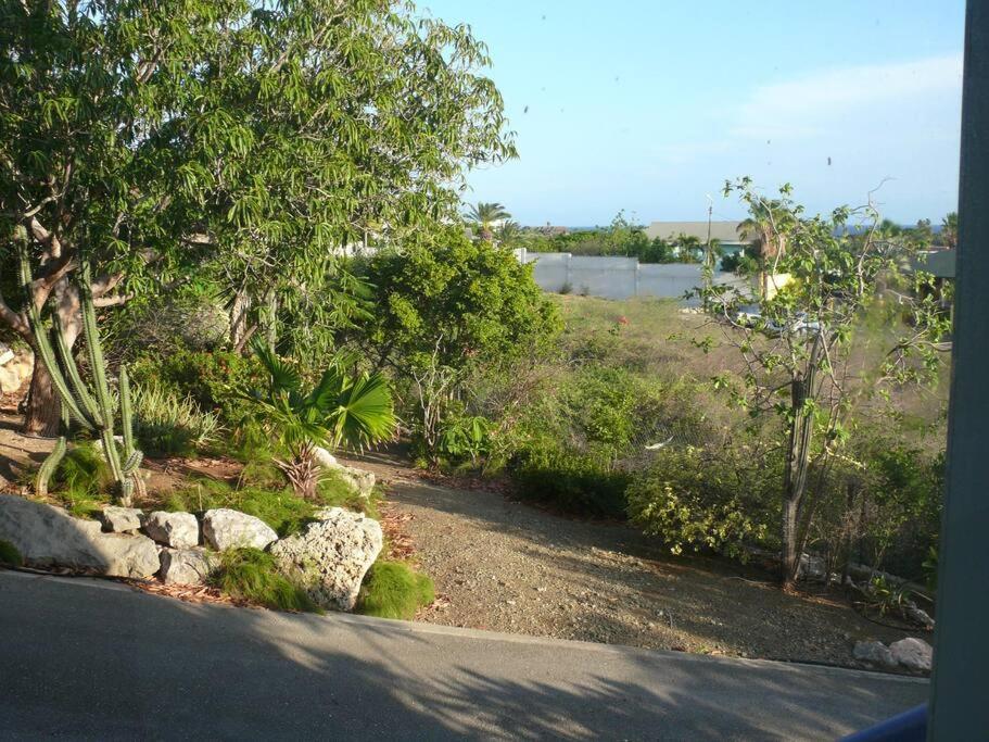 Villa mit Meerblick- curacao-dream