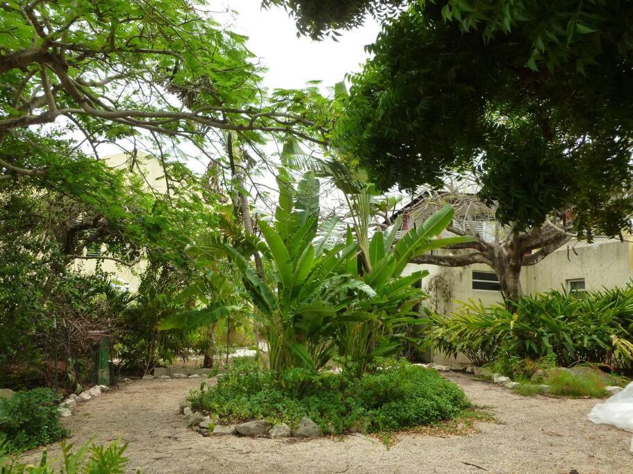 Villa mit Meerblick- curacao-dream