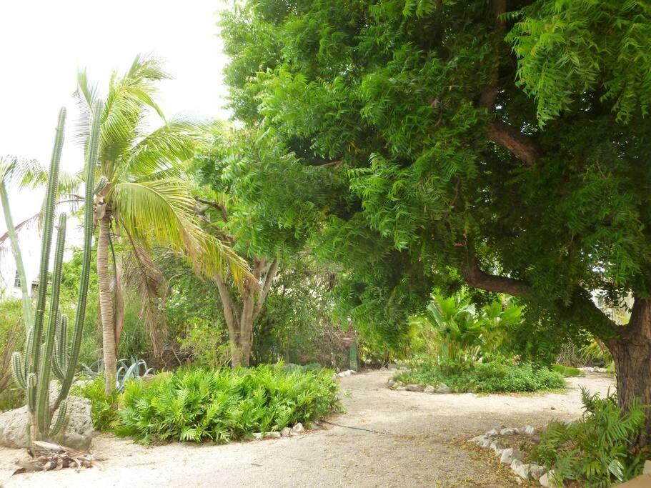 Villa mit Meerblick- curacao-dream