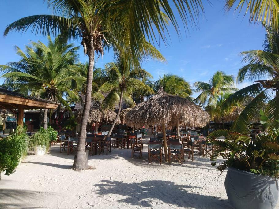 Villa mit Meerblick- curacao-dream