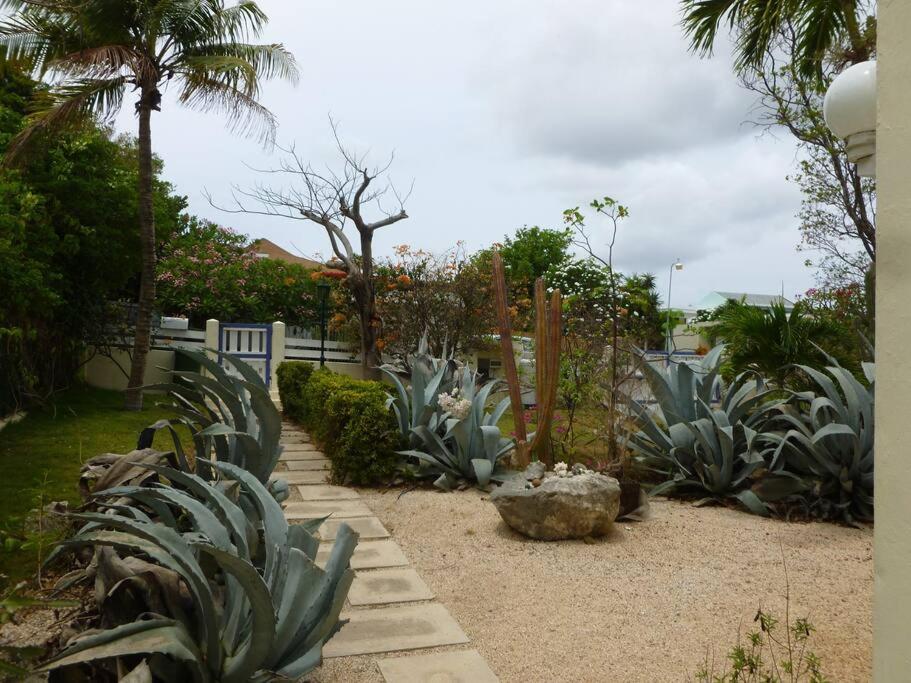 Villa mit Meerblick- curacao-dream