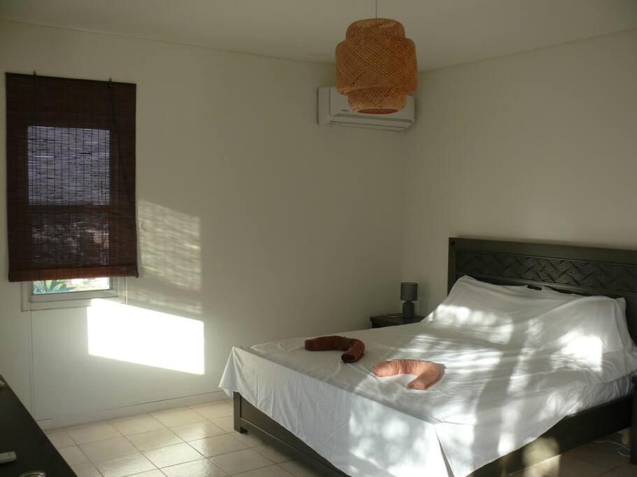 Villa mit Meerblick- curacao-dream