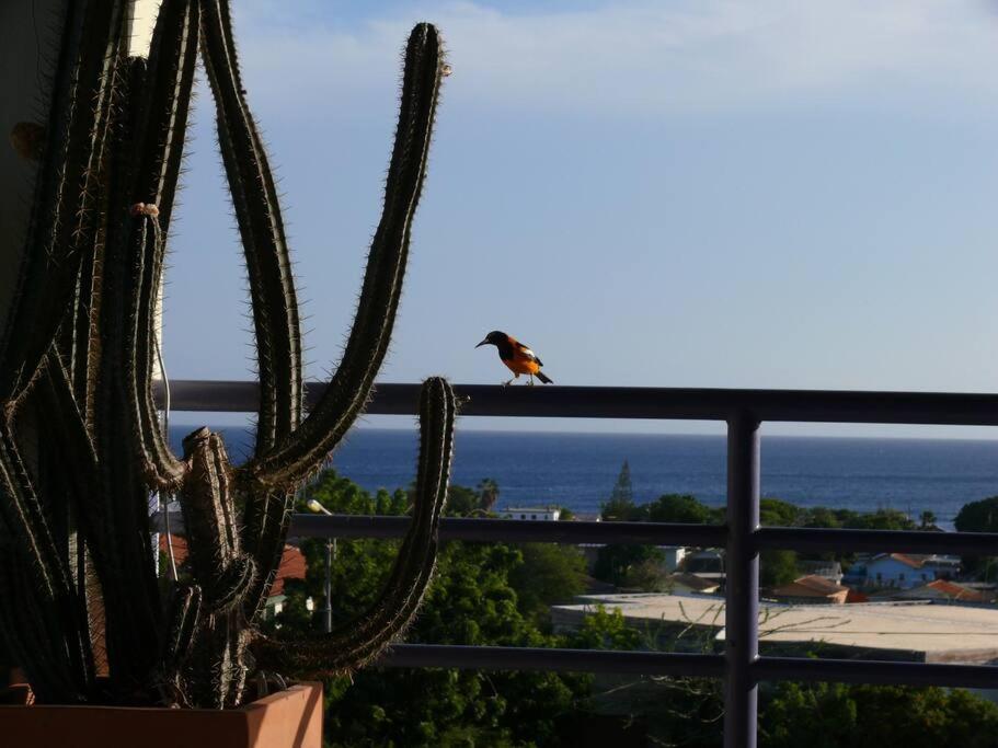 Villa mit Meerblick- curacao-dream