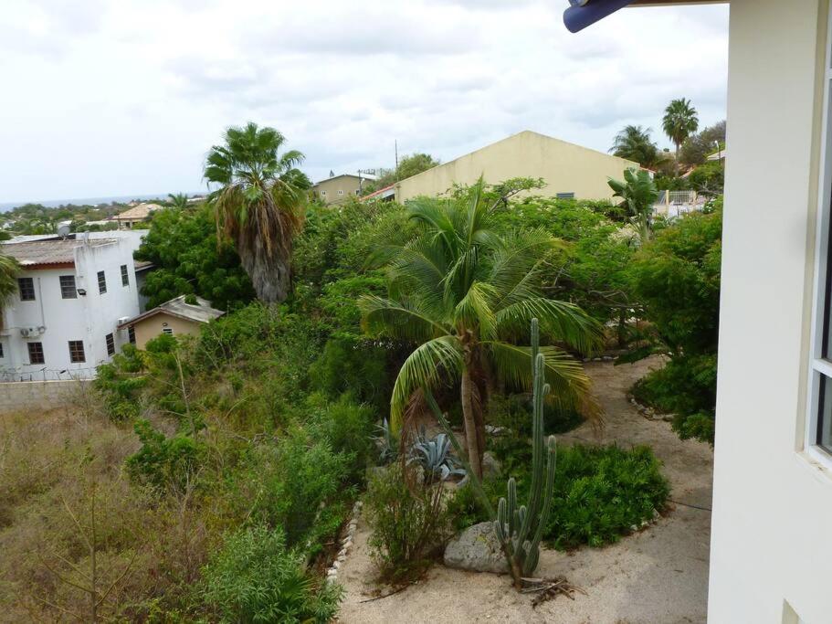 Villa mit Meerblick- curacao-dream