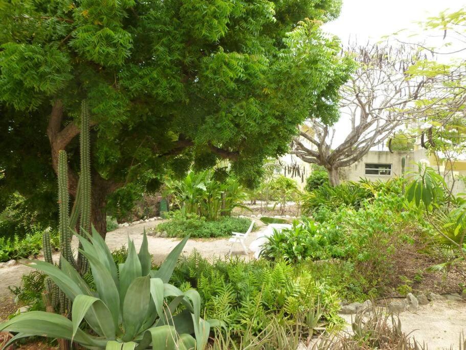 Villa mit Meerblick- curacao-dream