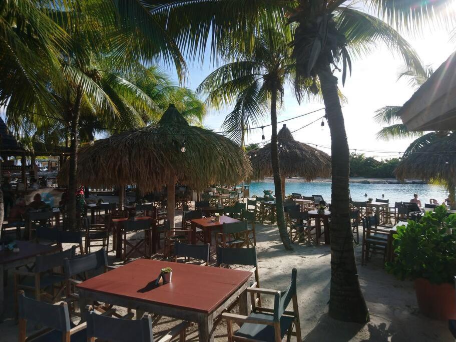Villa mit Meerblick- curacao-dream