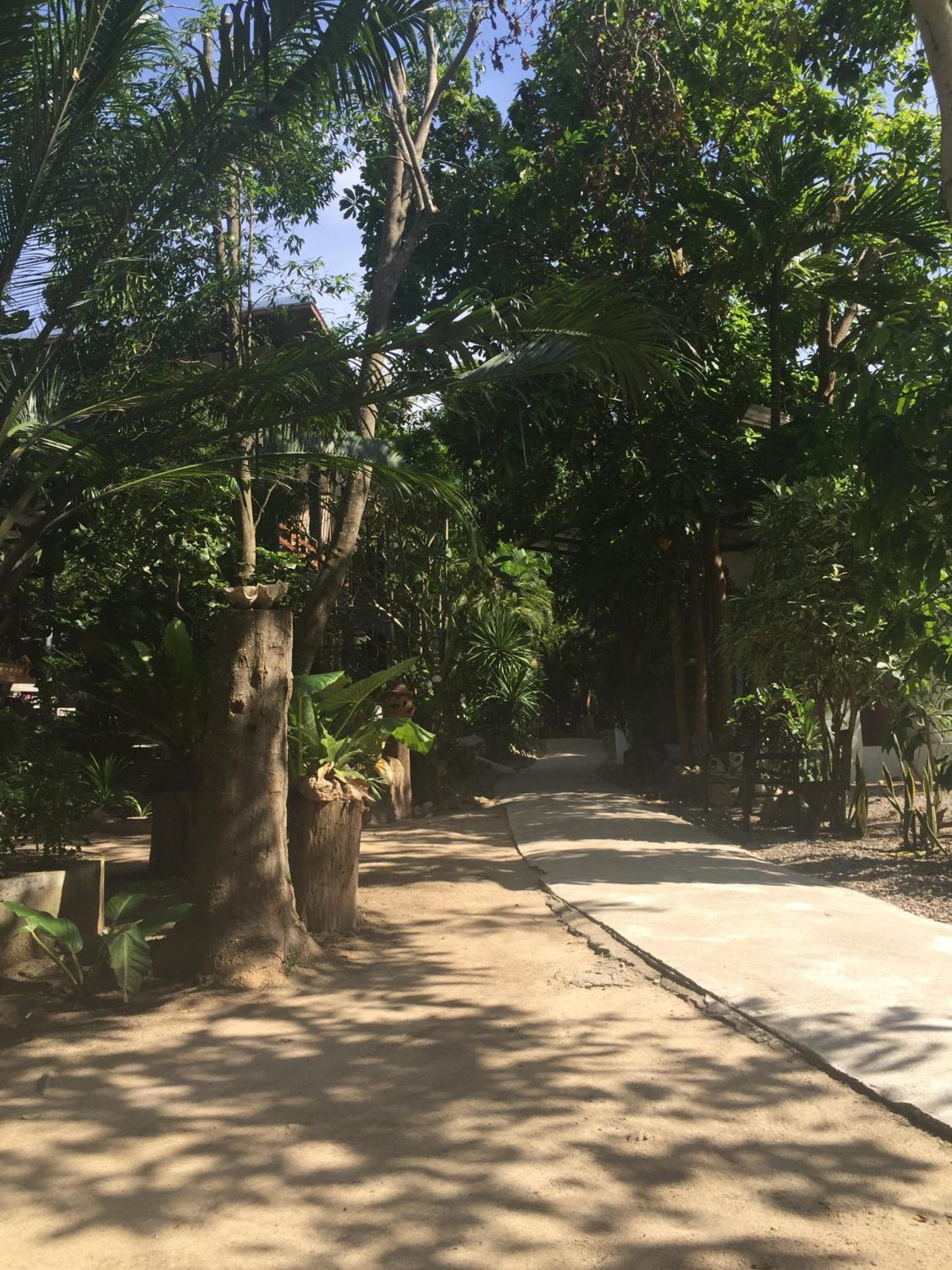 In Touch Resort