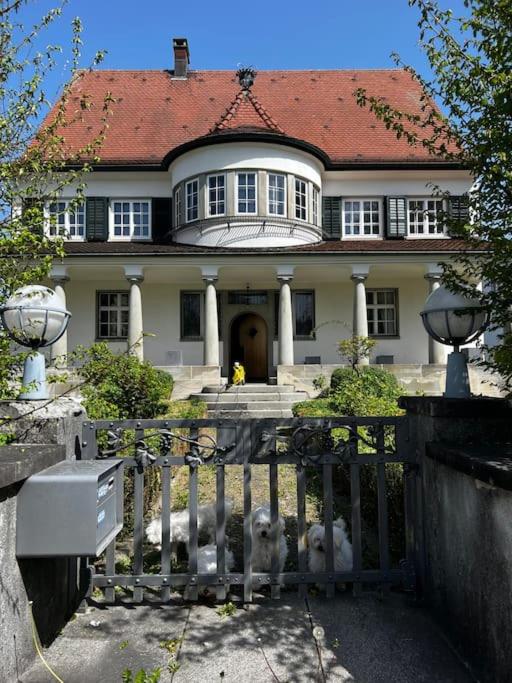 VILLA Philipp Plein - Designervilla mit Pool & SPA
