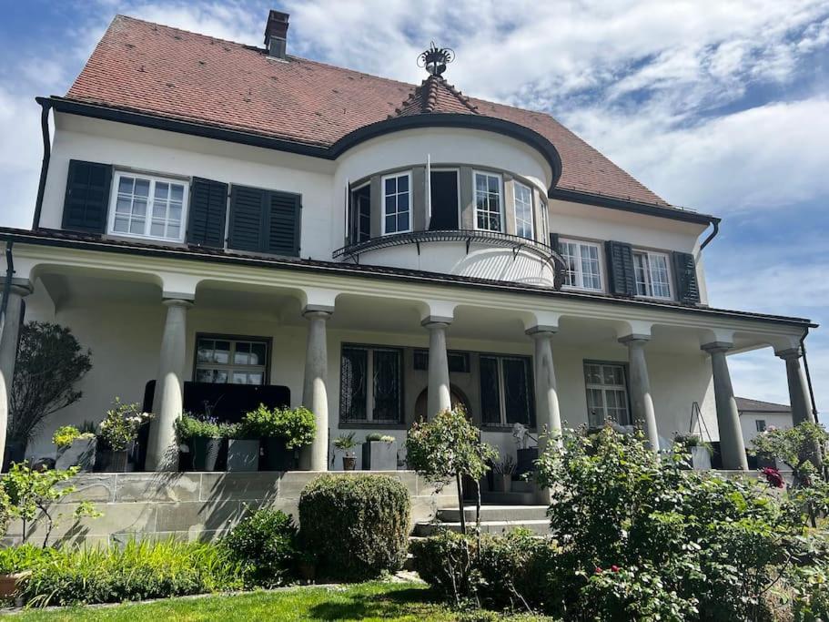 VILLA Philipp Plein - Designervilla mit Pool & SPA