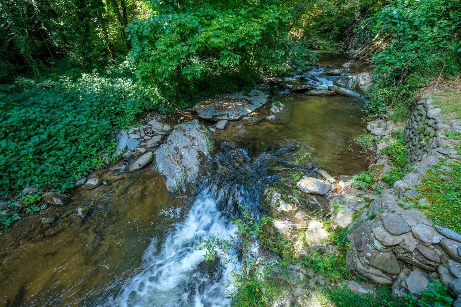 Gervinwold Creekside By Colonial Properties view 2