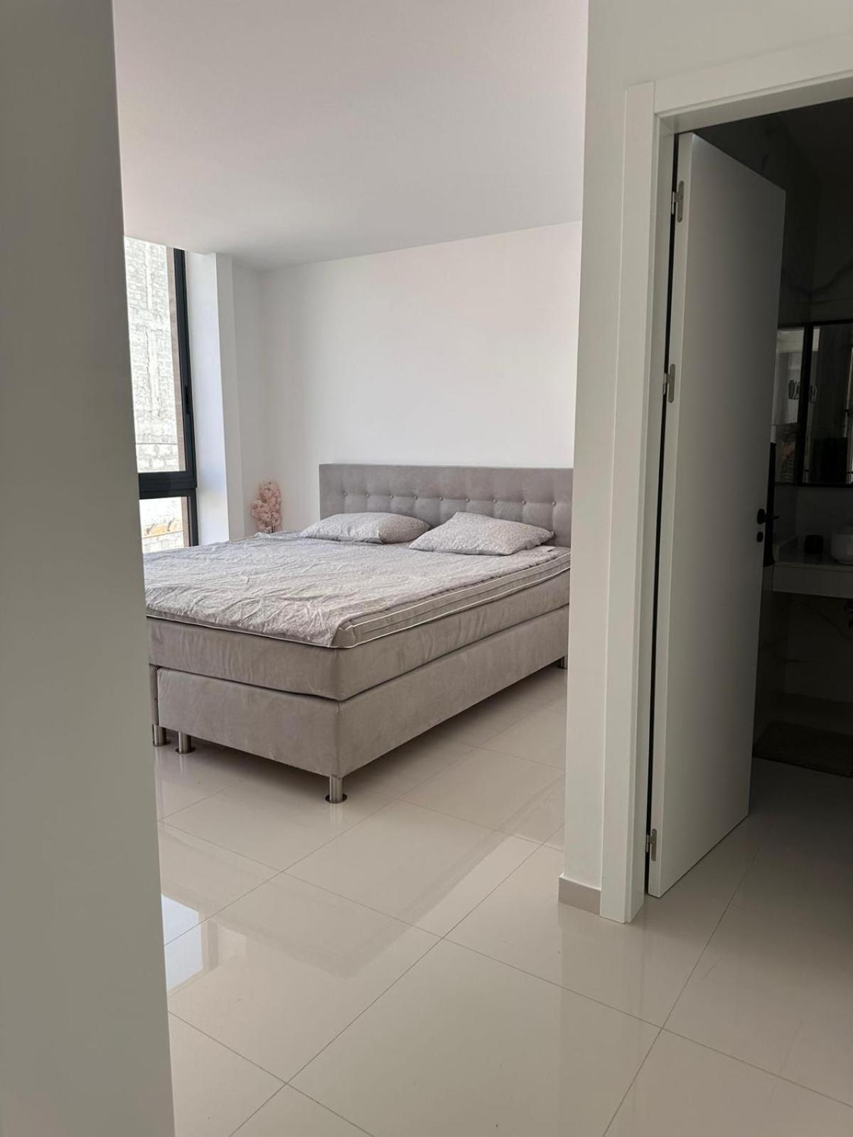 Sharksproperties Apartment