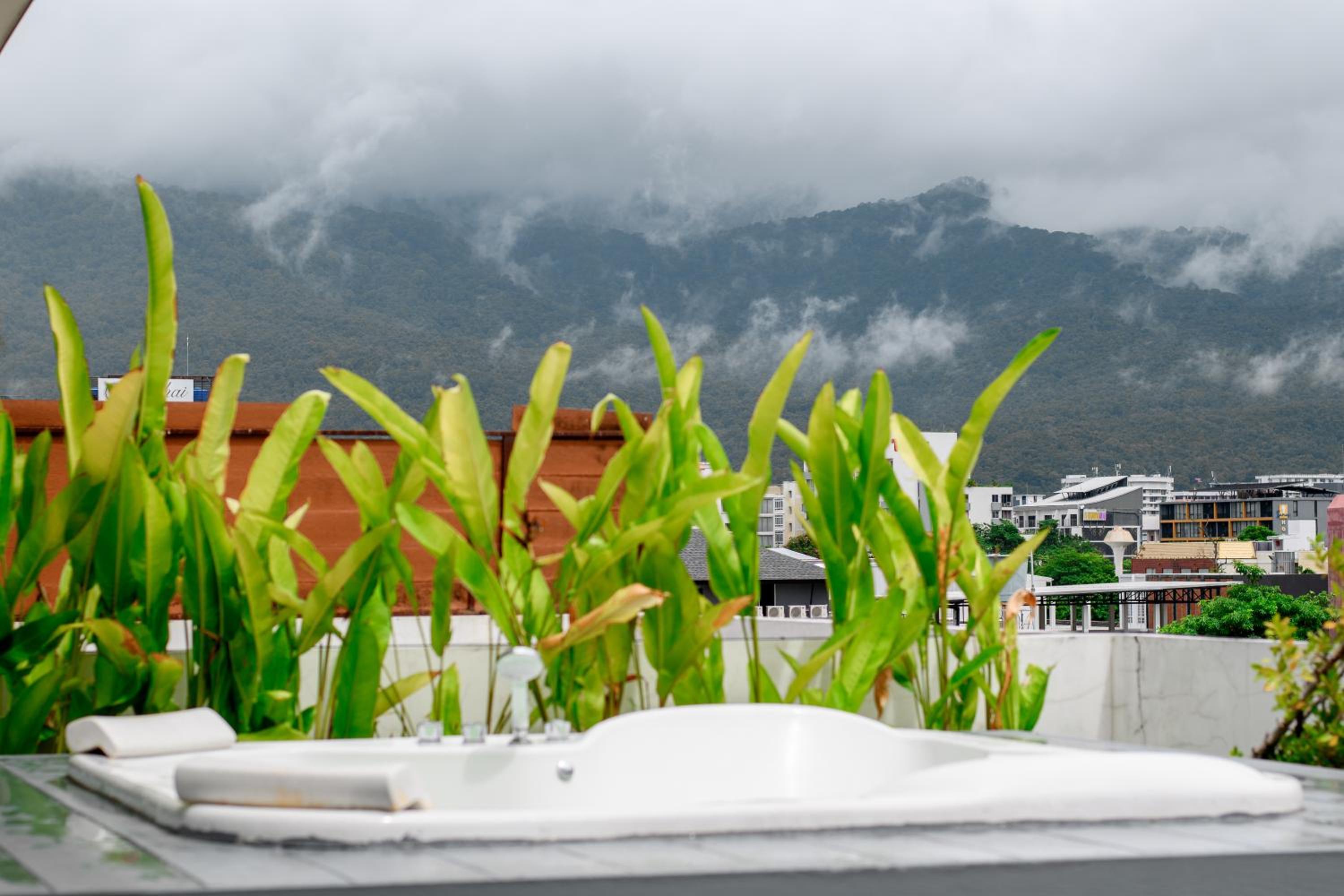 roof
