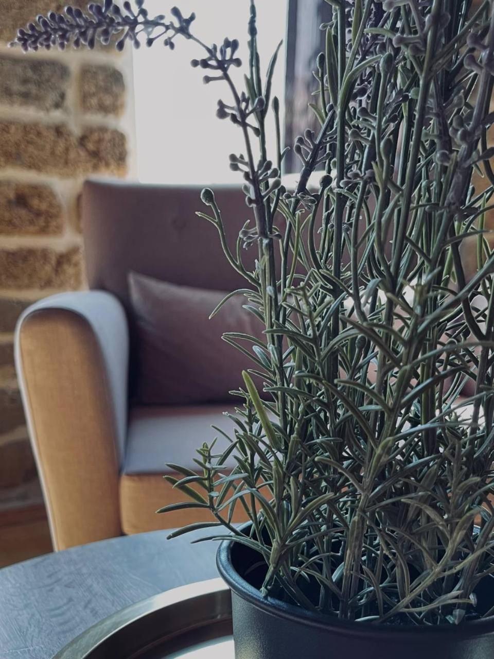 Sazeli Boutique Hotel