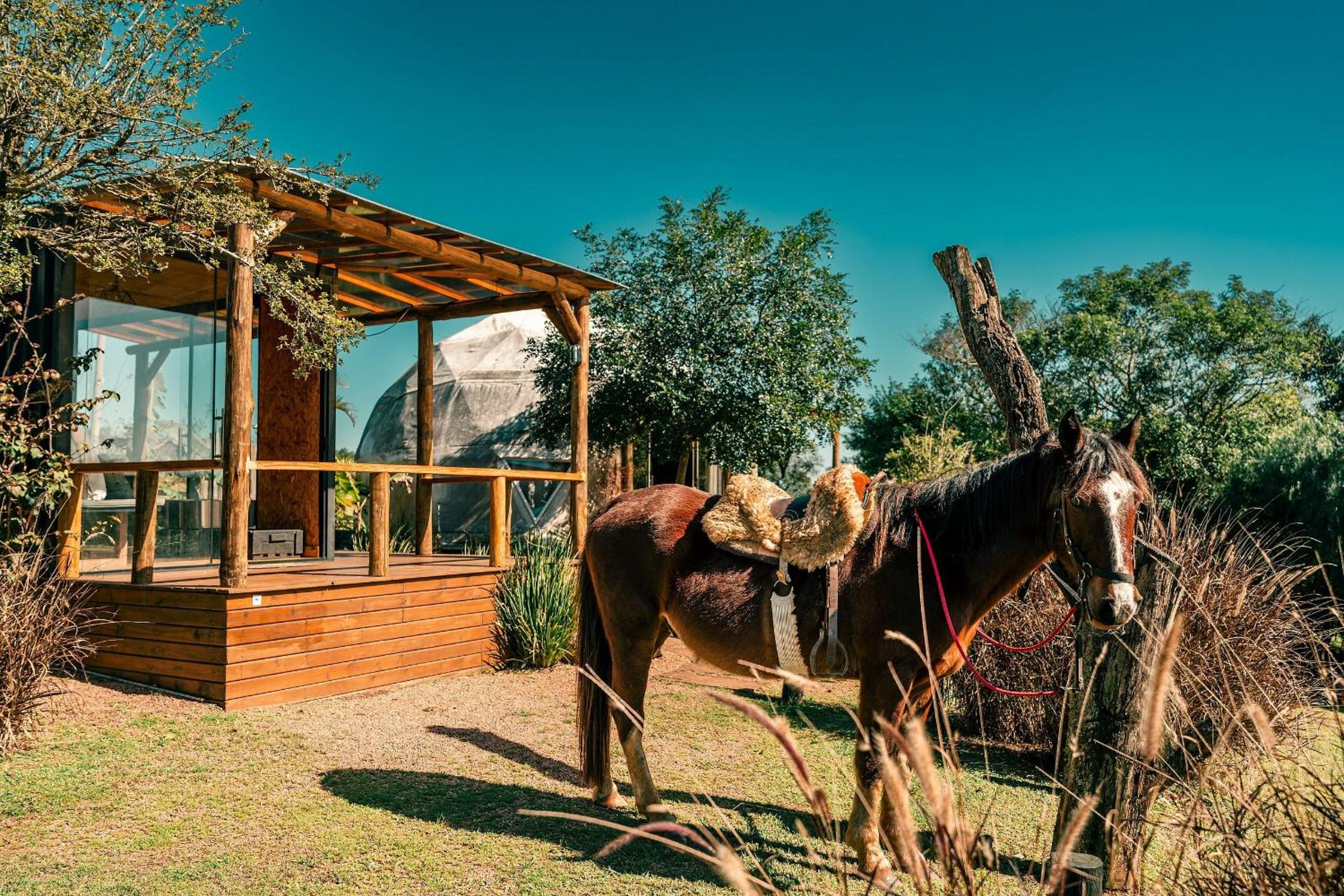 Esphera Glamping - Gravataí - RS
