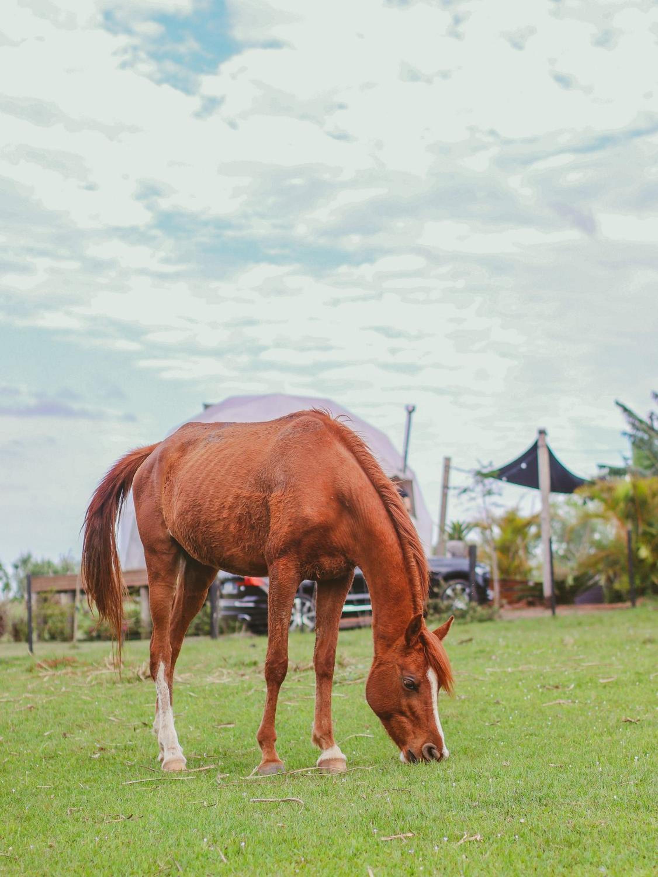 Esphera Glamping - Gravataí - RS