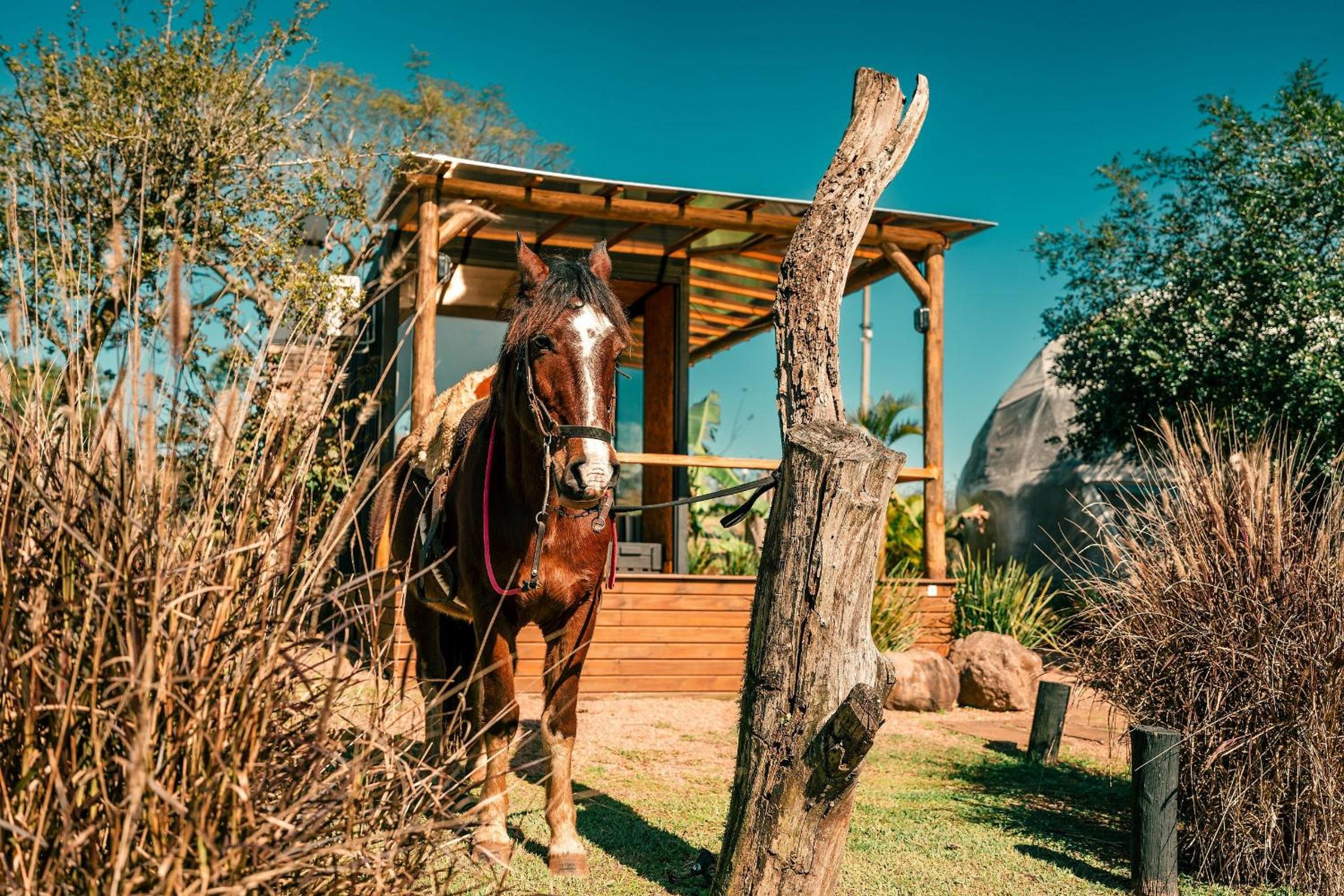 Esphera Glamping - Gravataí - RS