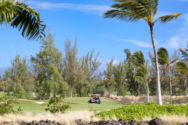 I3 Waikoloa Beach Villas view 4