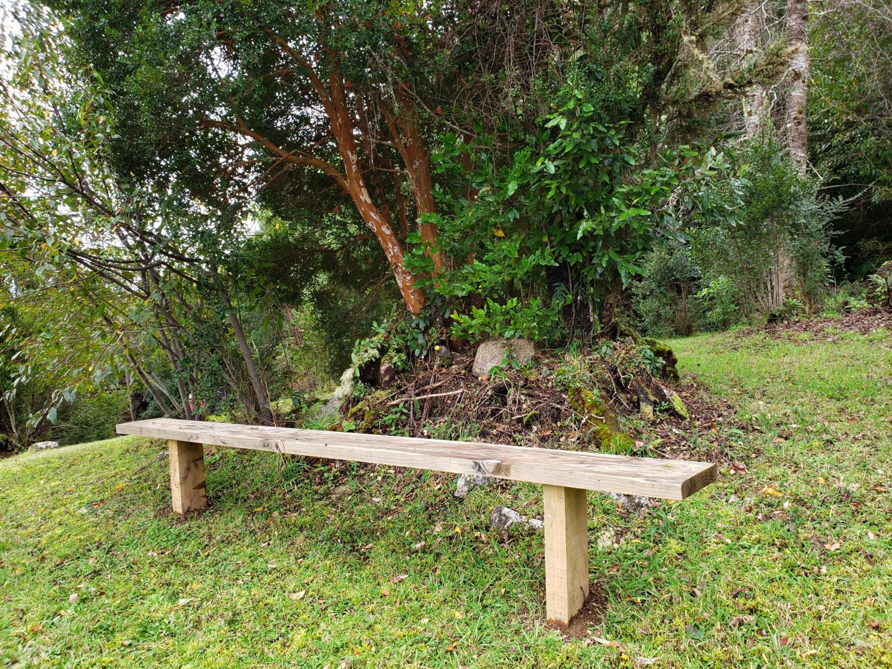 Cabañas Futrono