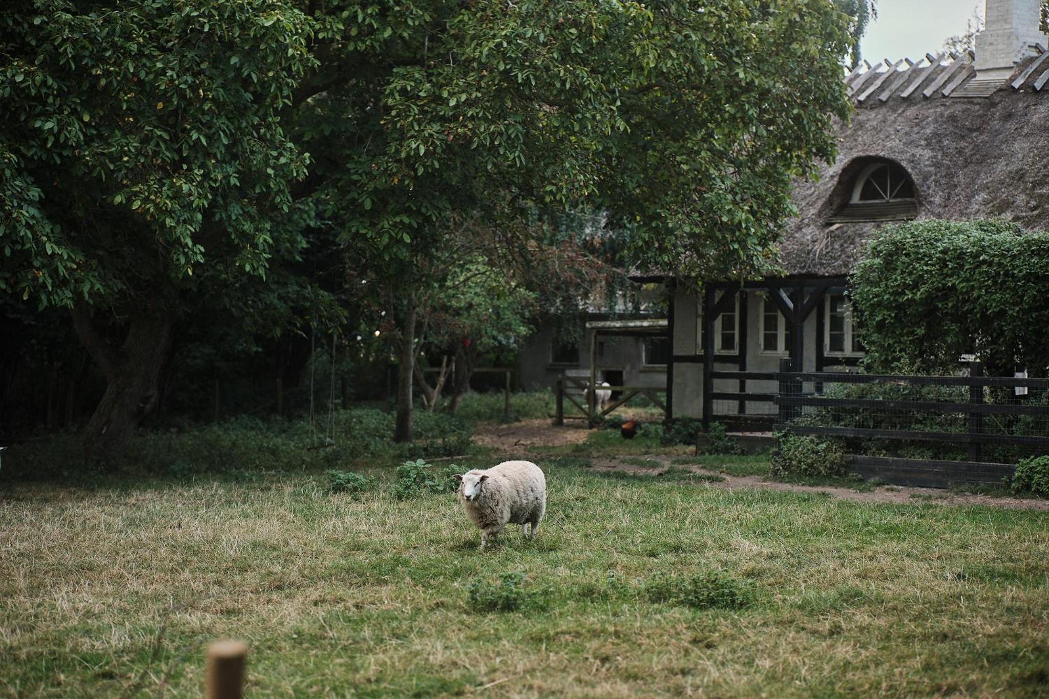 Askegaarden Apartments
