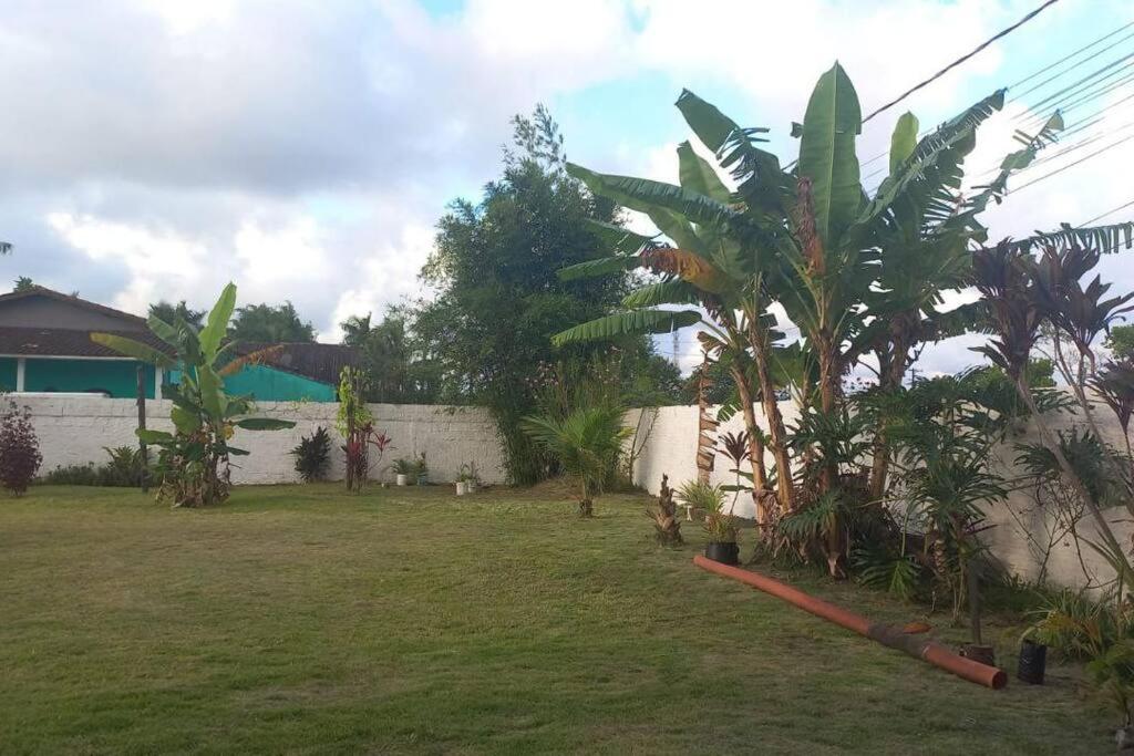 Campo Vede Cananeia