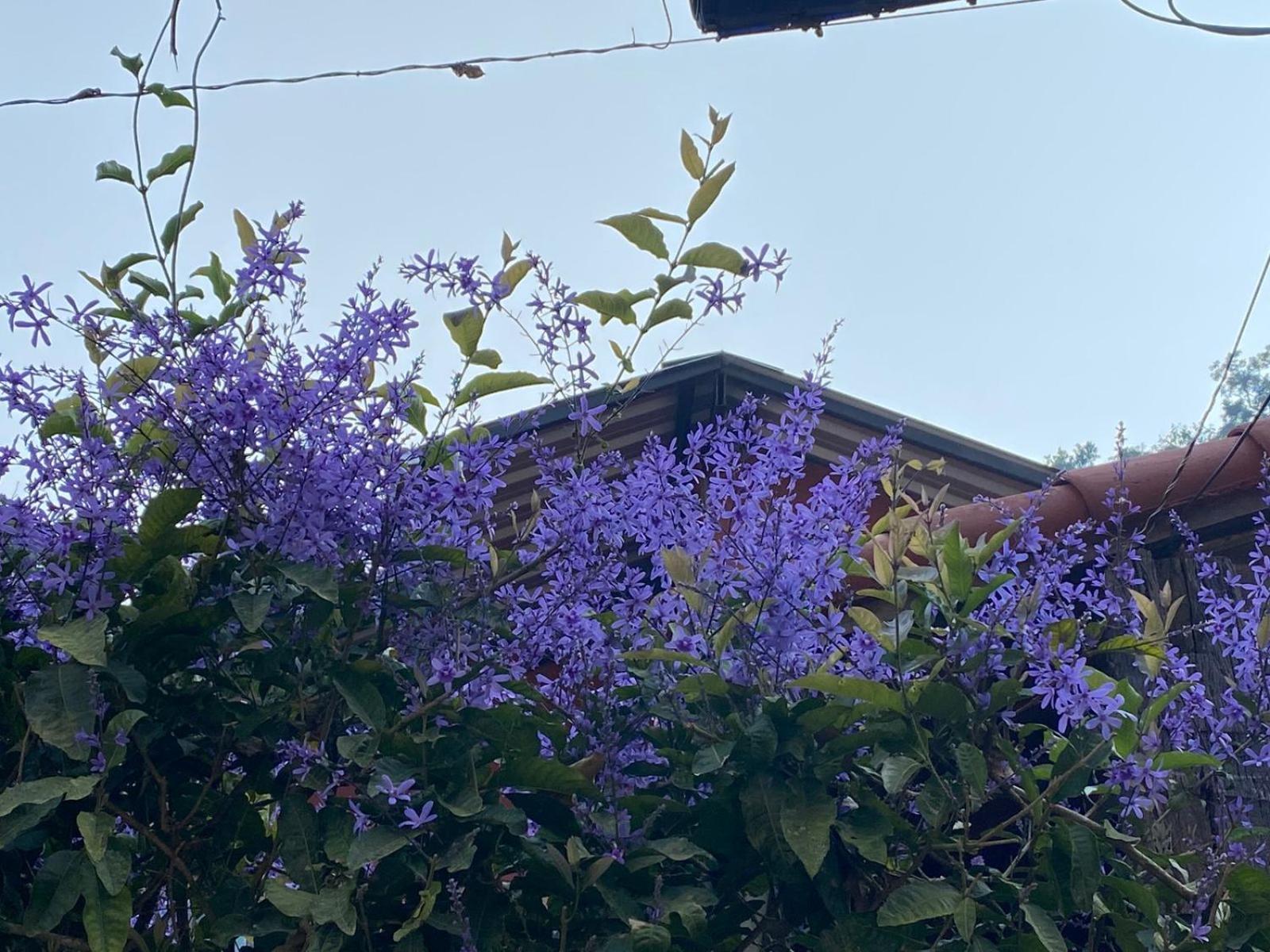 Pousada Villa Provence