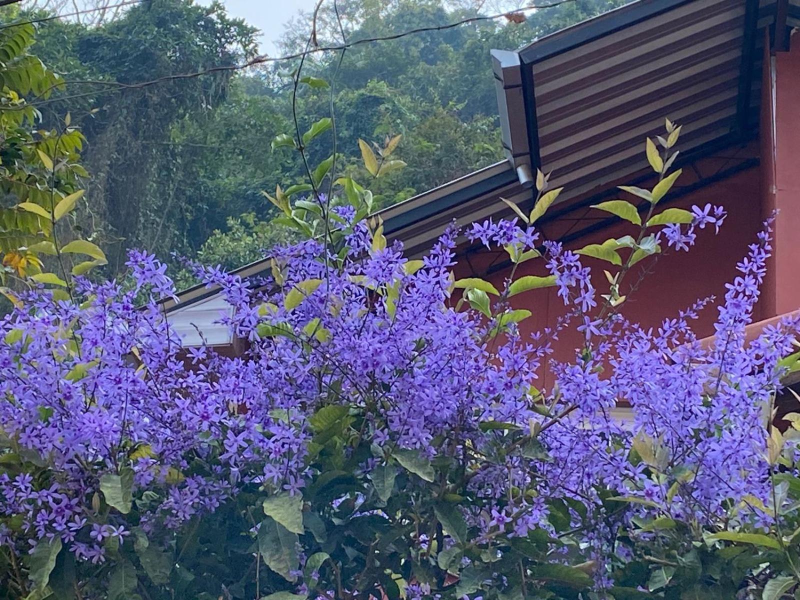 Pousada Villa Provence