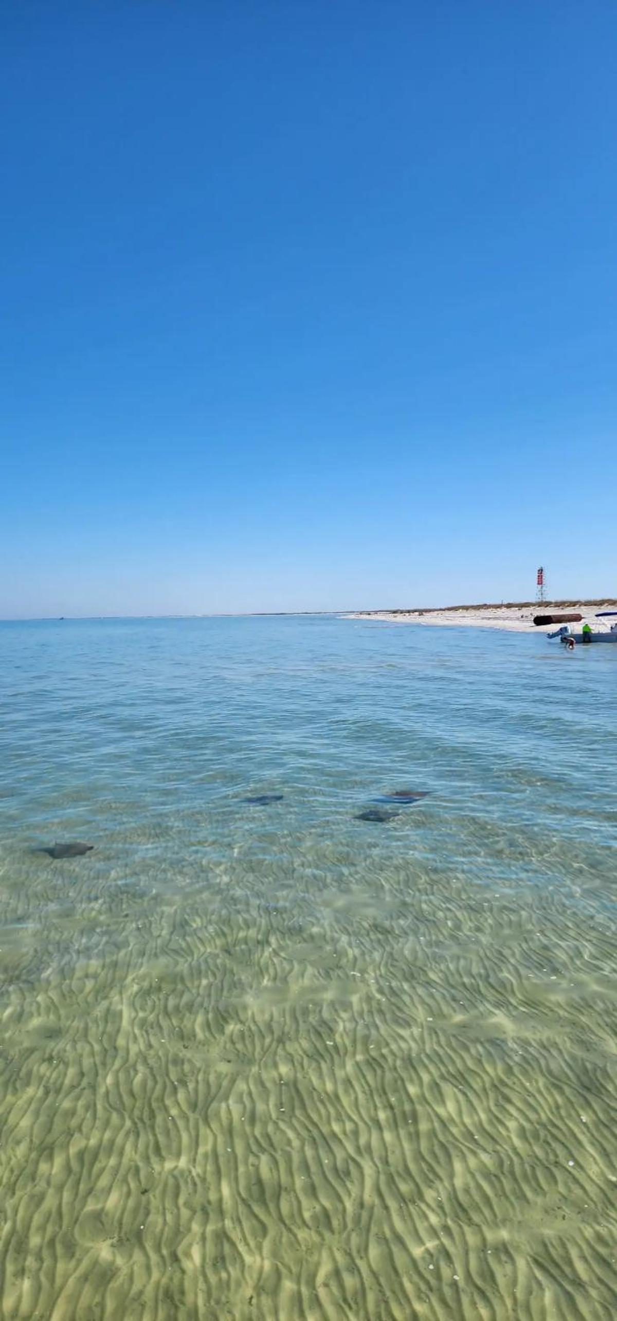 Magnolia Bay Hideaway