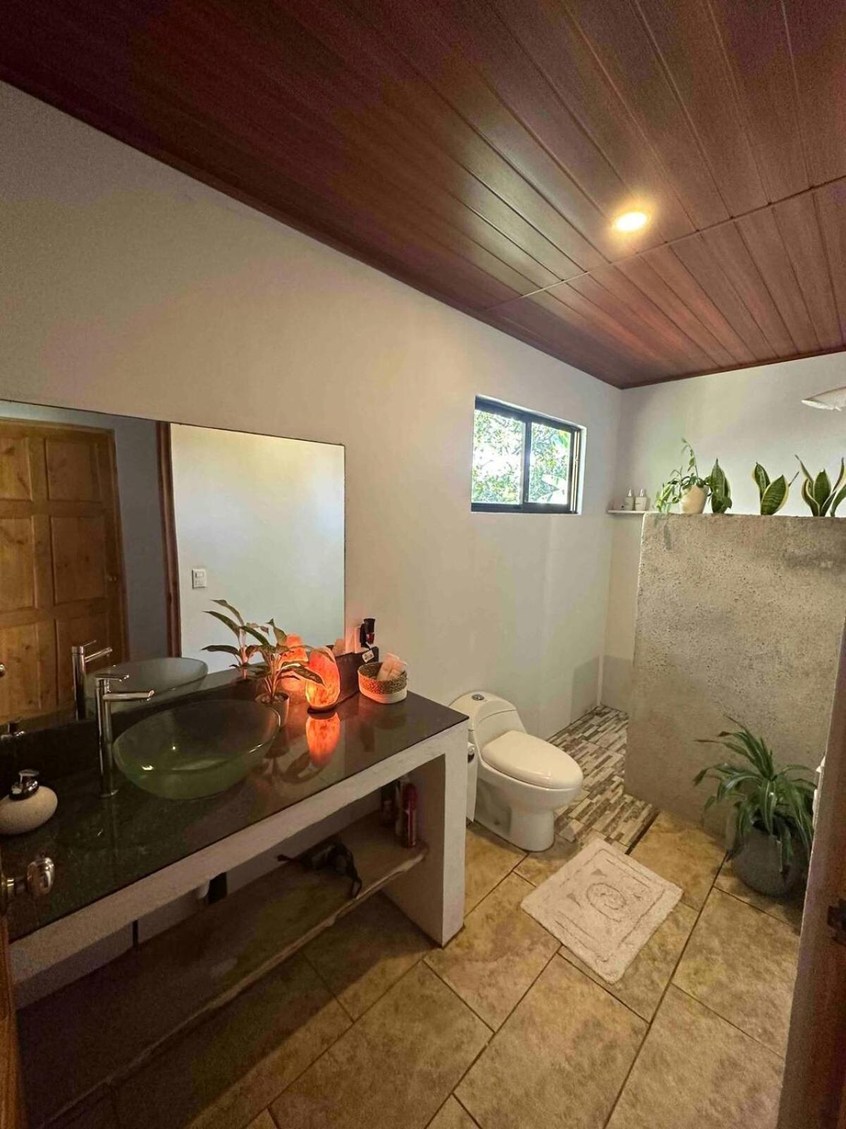 Elegant house in the jungle near the city