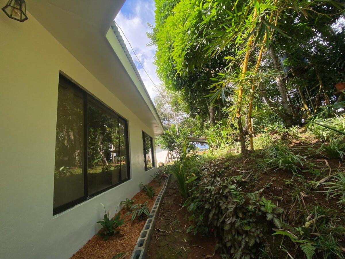 Elegant house in the jungle near the city