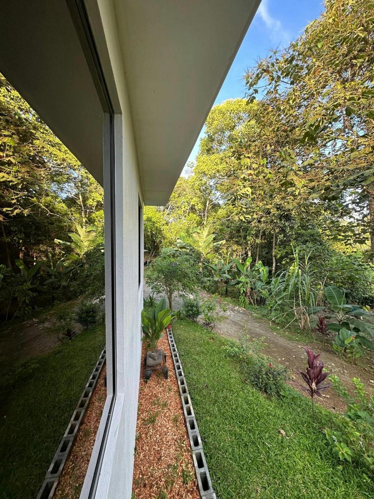 Elegant house in the jungle near the city