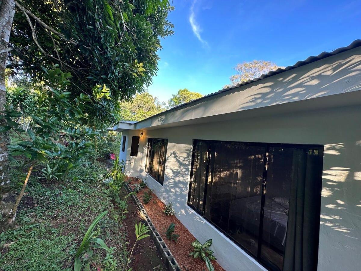 Elegant house in the jungle near the city