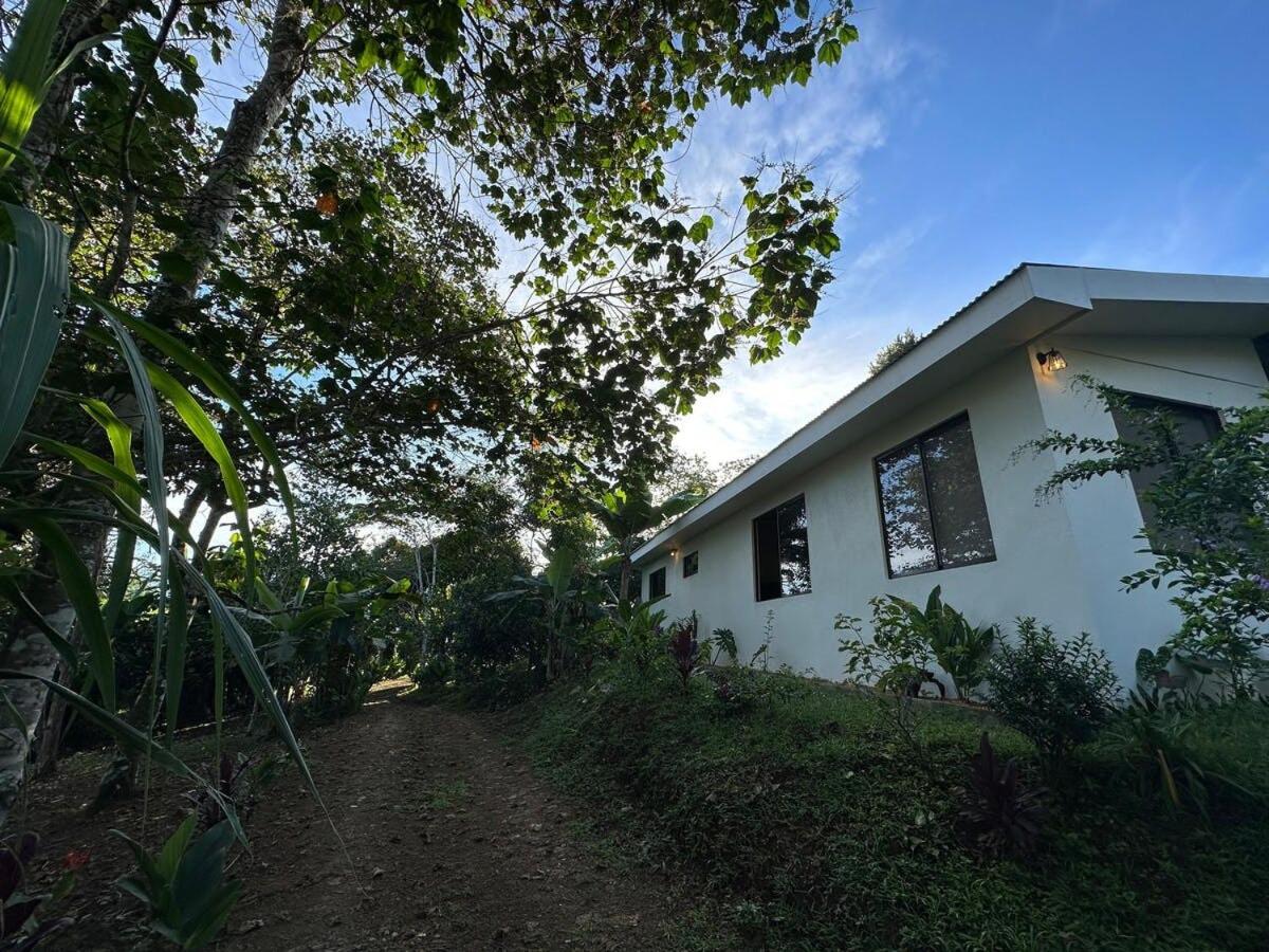 Elegant house in the jungle near the city