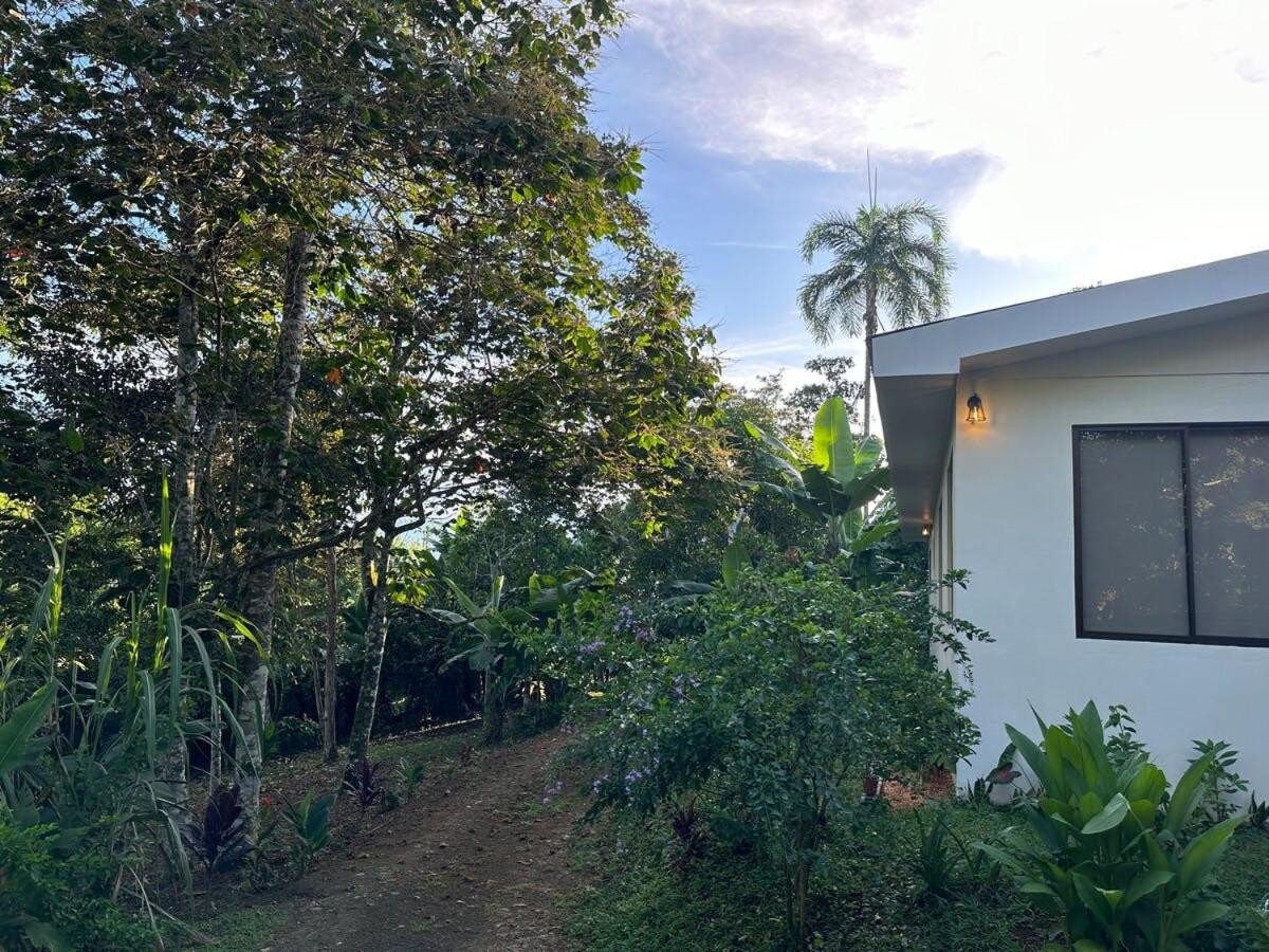 Elegant house in the jungle near the city