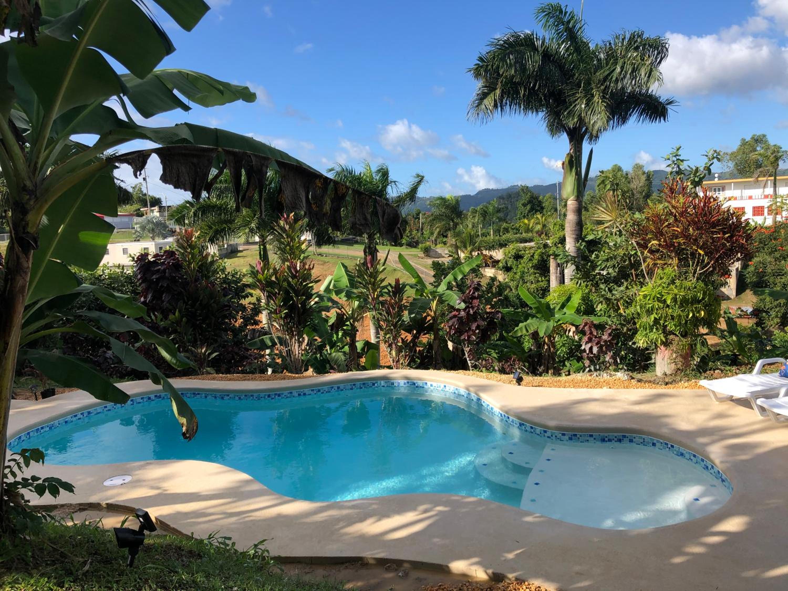 Hacienda Rose Tropical Paradise