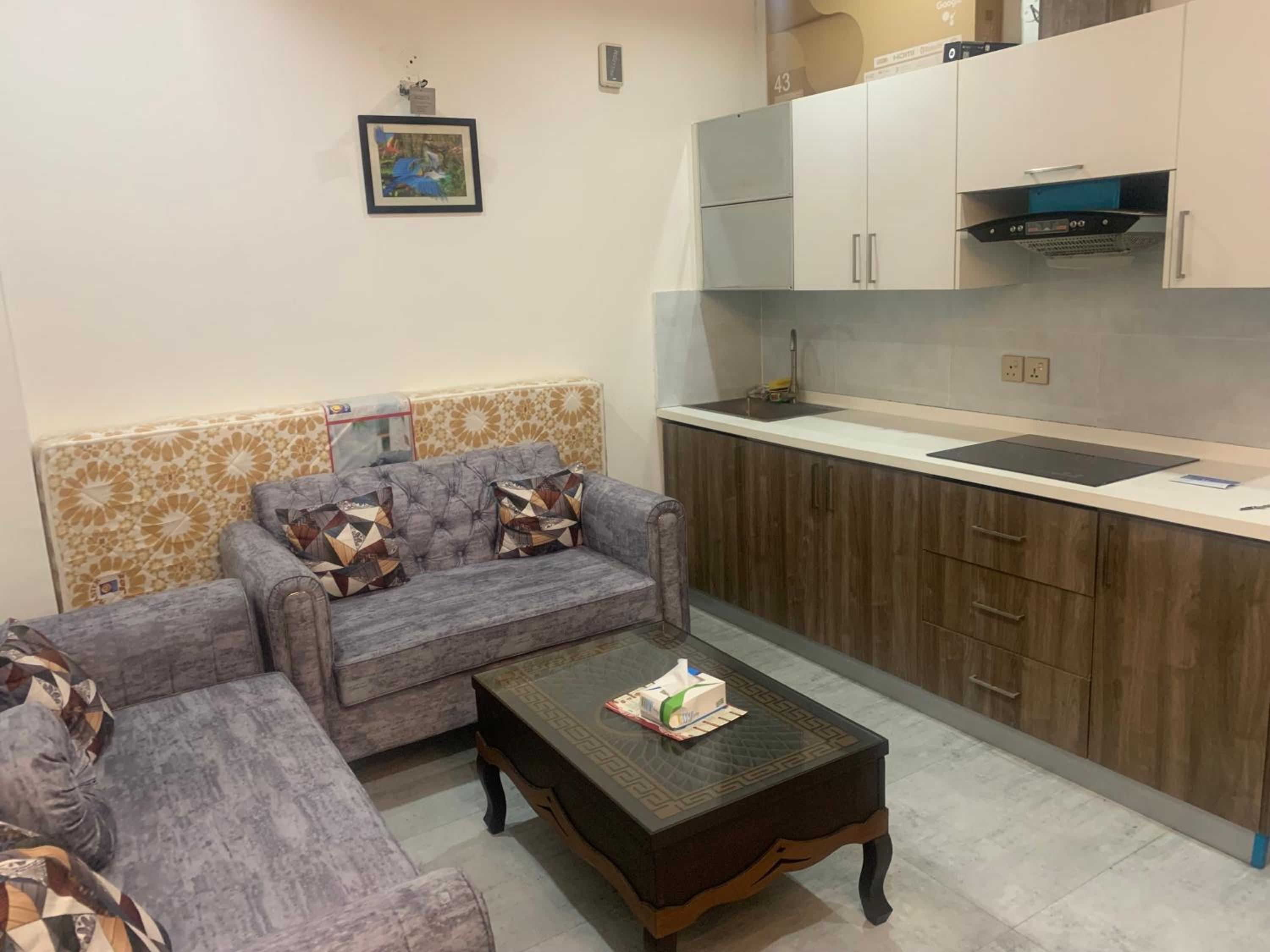Arena Mall 1BHK Apartment