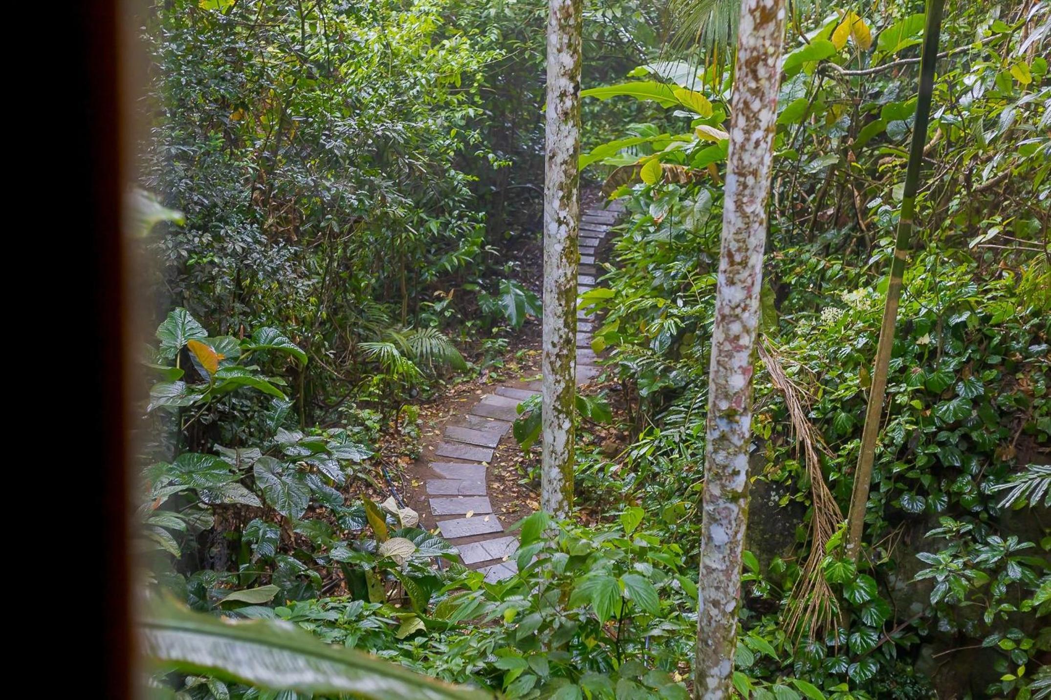 Incrível experiência em meio à Natureza - Cabana | Gonzaga Stays