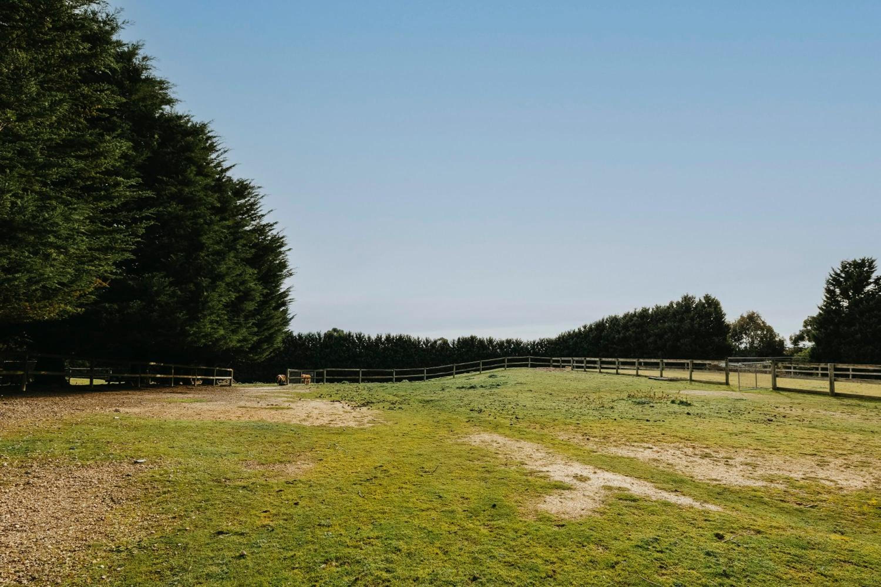 4BD large cottage w Amazing farm view