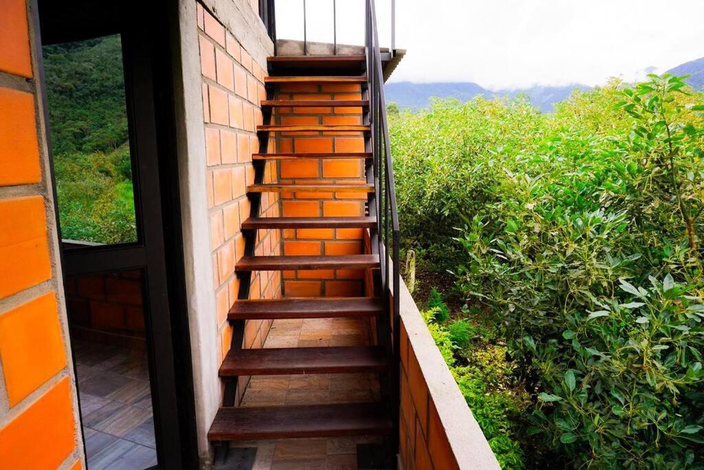 Retro Finca Urrao - Peaceful Avocado Farm Retreat