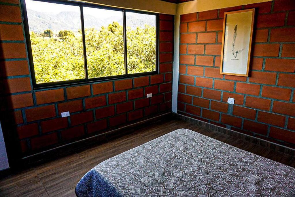 Retro Finca Urrao - Peaceful Avocado Farm Retreat
