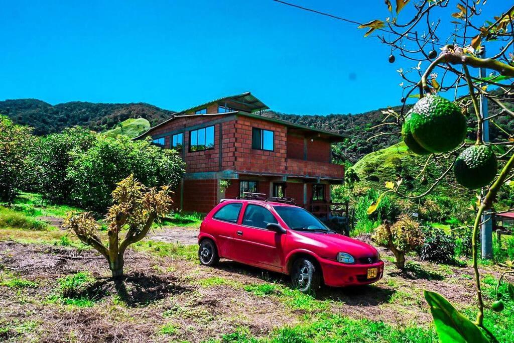 Retro Finca Urrao - Peaceful Avocado Farm Retreat