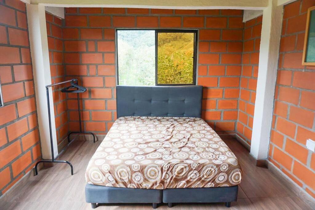 Retro Finca Urrao - Peaceful Avocado Farm Retreat
