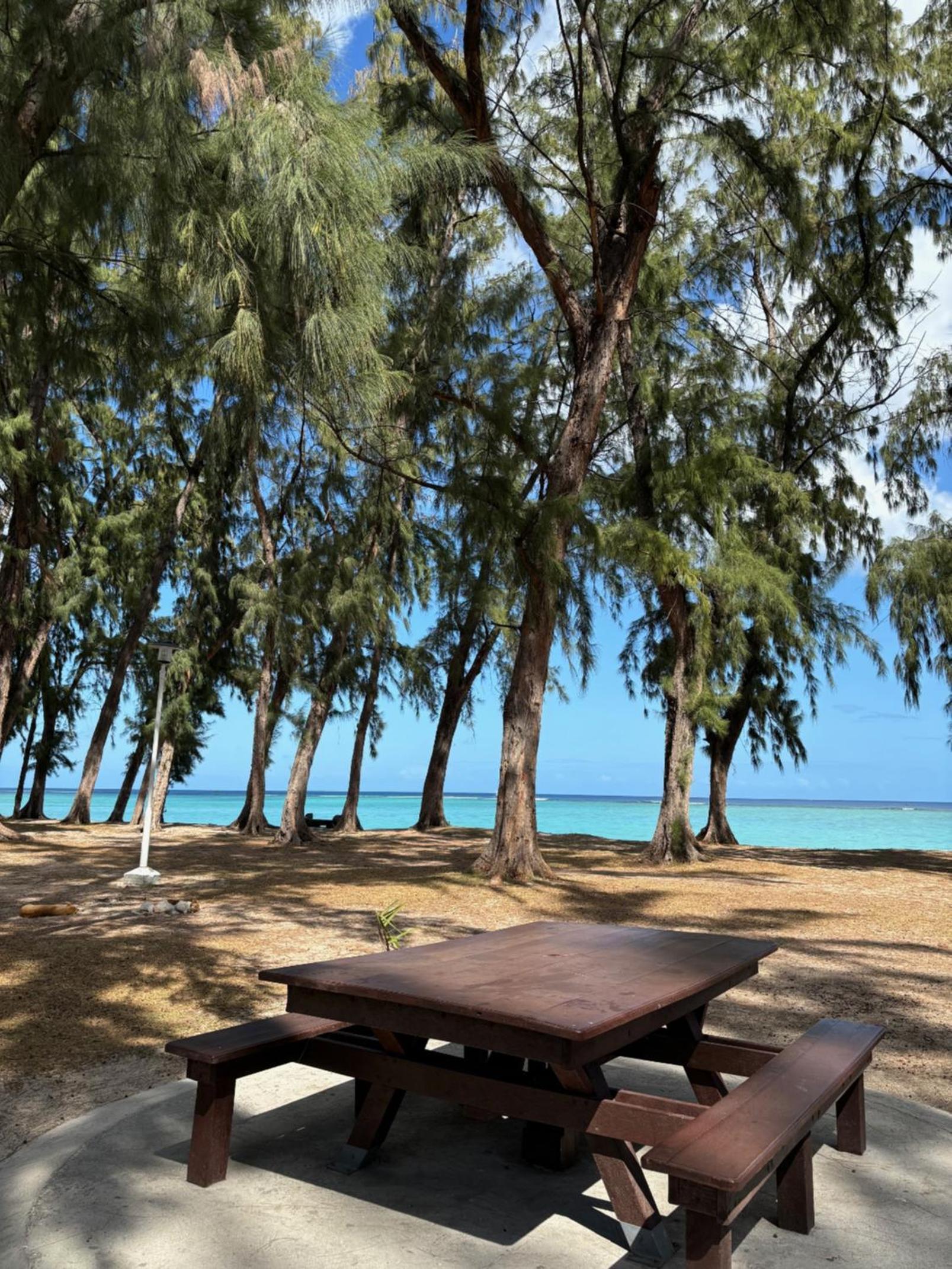 Aquamarine Beachfront Apartment