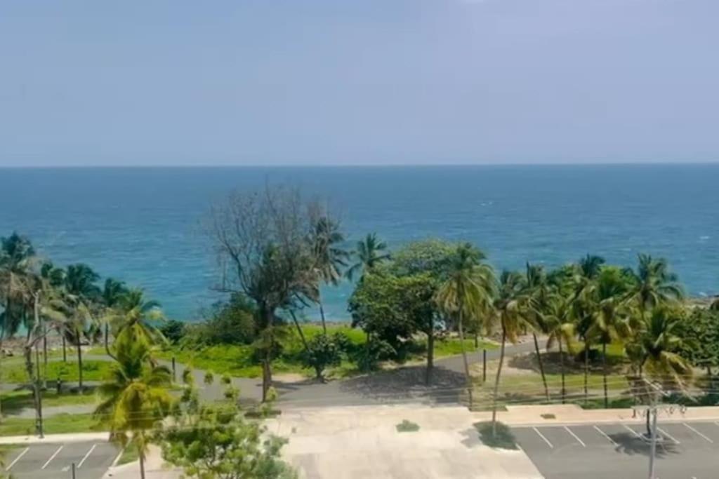 Malecon Dreams, Torres Catalanas