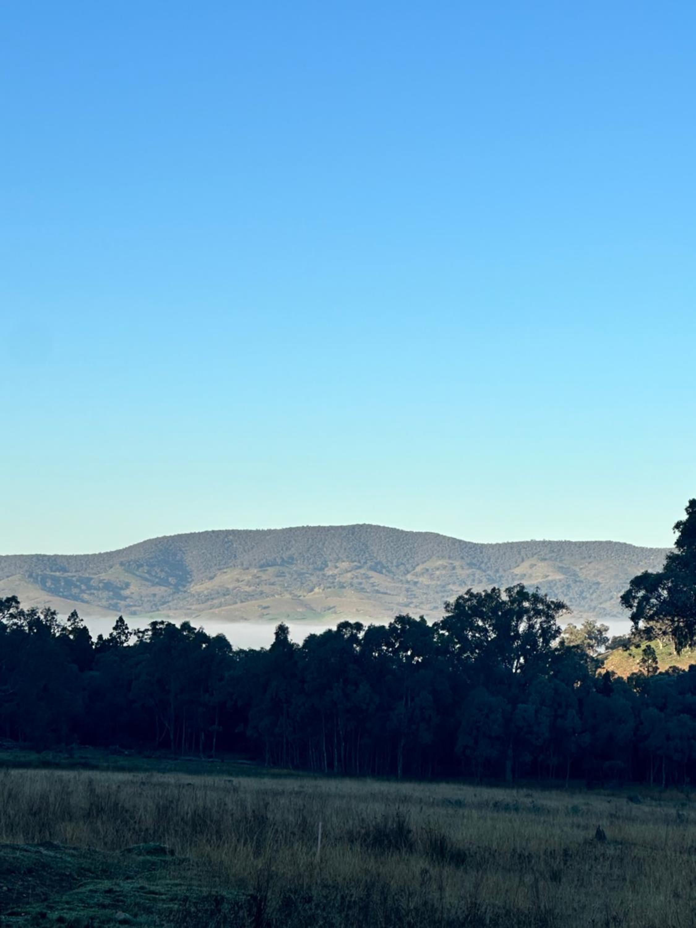 Brigadoon Farm stays Mudgee