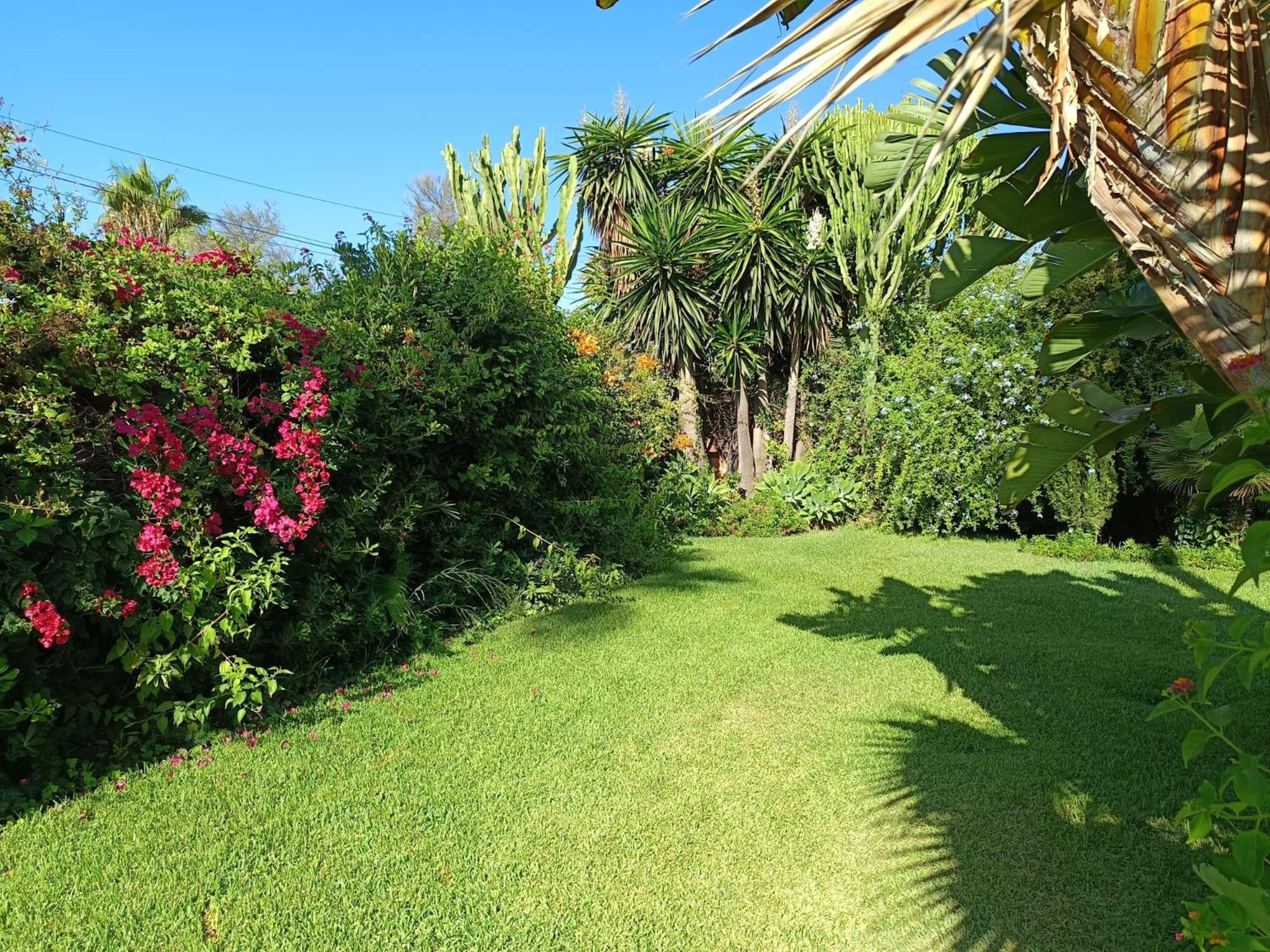 VILLA junto a la playa - SUN & RELAX view 5