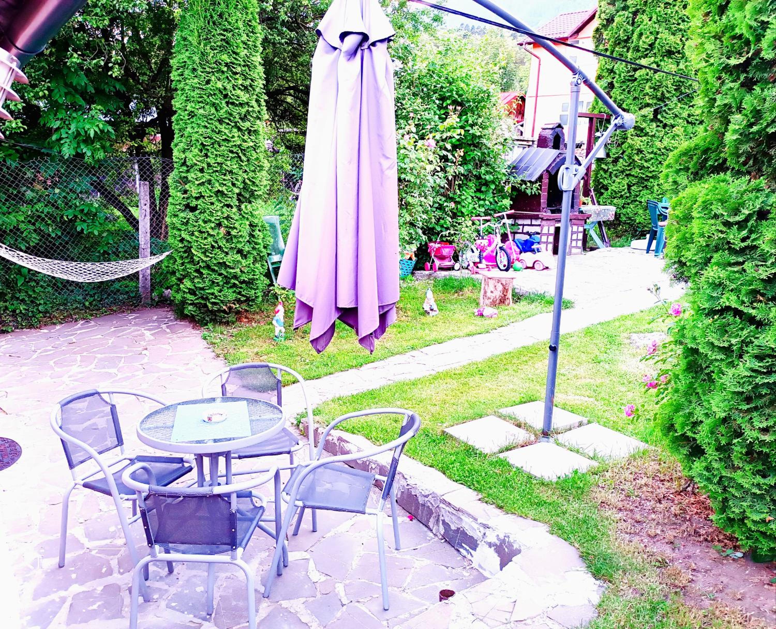 Casa Claudiu Busteni