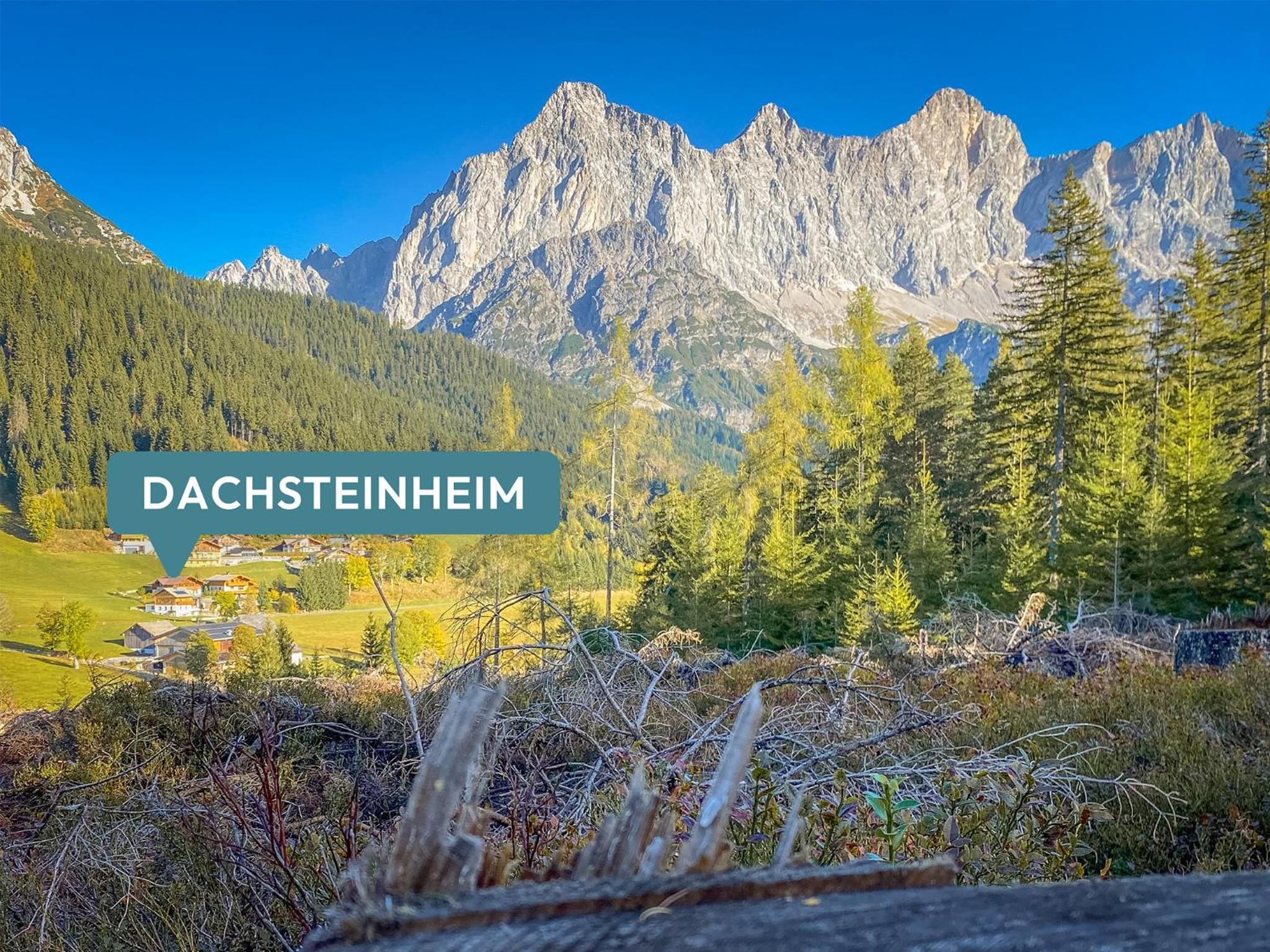 Ferienhaus Dachsteinheim